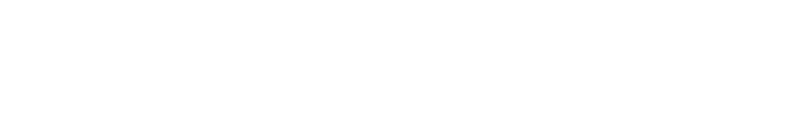 flachdach service leckortung logo weiss gross(1)
